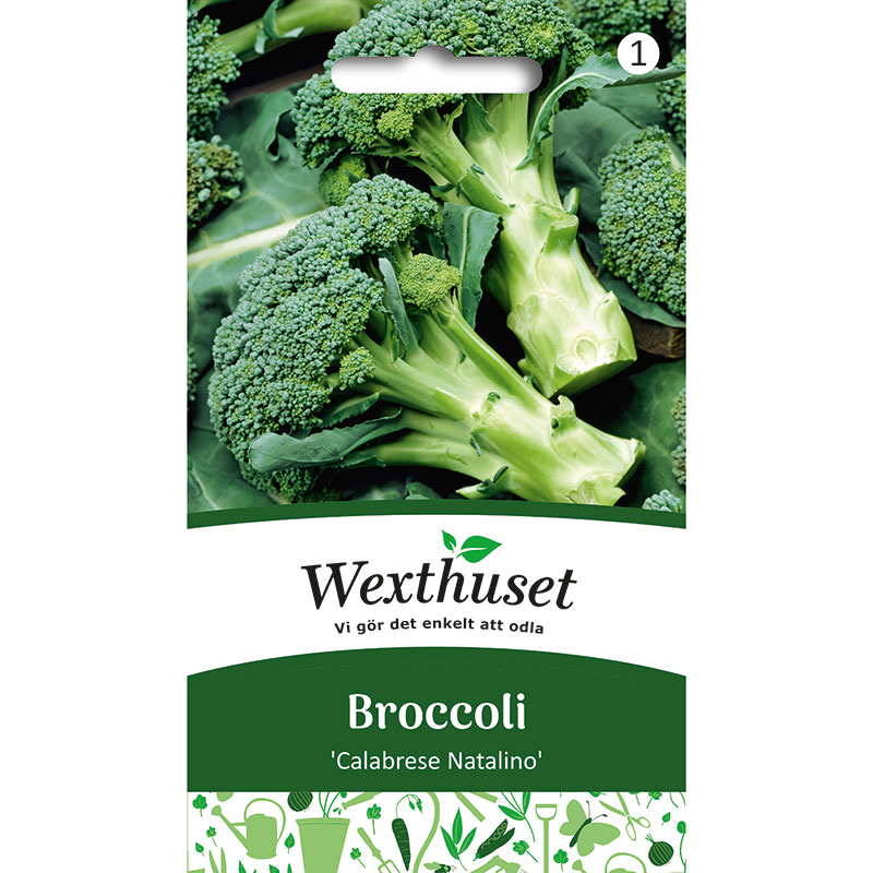 fro-till-broccoli-calabrese-natalino-brassica-oleracea-pase.jpg