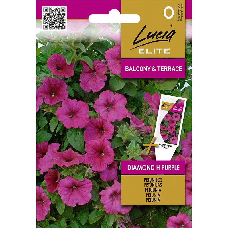 petunia 'diamond purple' f1