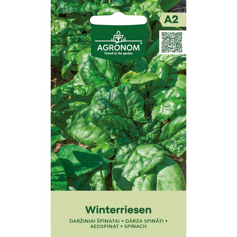 spenat 'winterriesen'