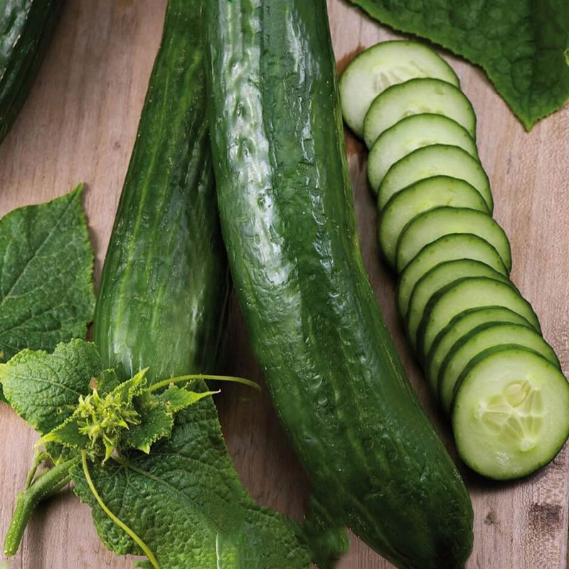 gurka 'telegraph improved'