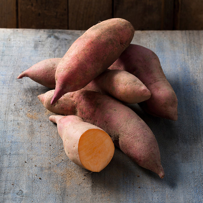 Sötpotatis ’Vineland Early Orange’ ekologisk 3-pack