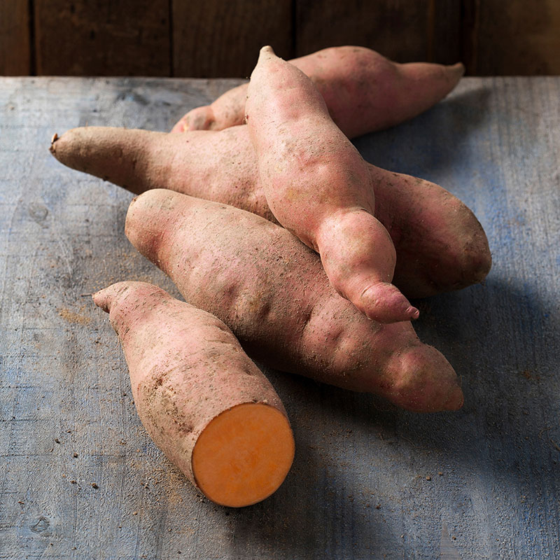 Sötpotatis ’Vineland Salmon Orange’ ekologisk 3-pack