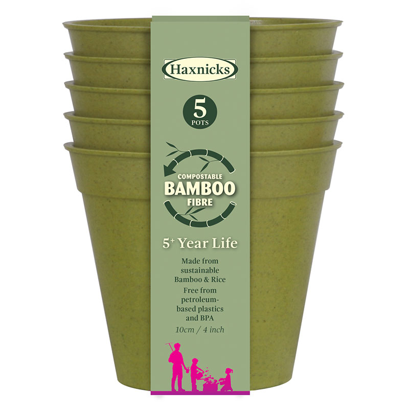 Bambukruka 10 cm salviagrön 5-pack