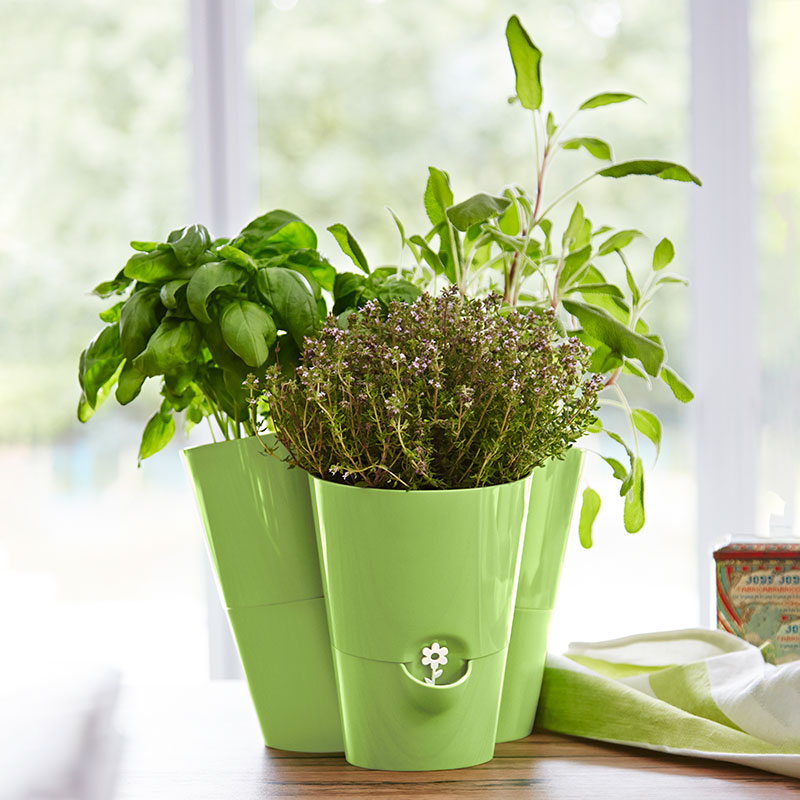 Fresh Herbs 3-i-1 örtkruka 27×25 cm grön