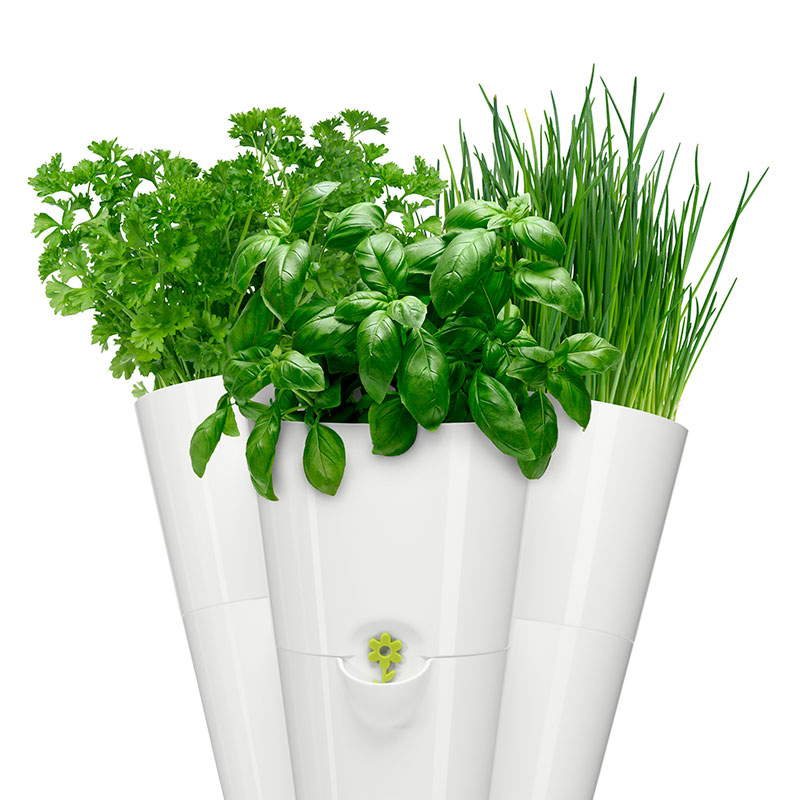 Fresh Herbs 3i1 självvattnande örtkruka 27x25 cm, vit Wexthuset