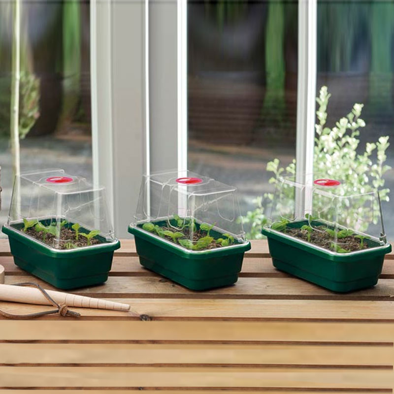 Worth Gardening Minidrivhus mini 3-pack grön