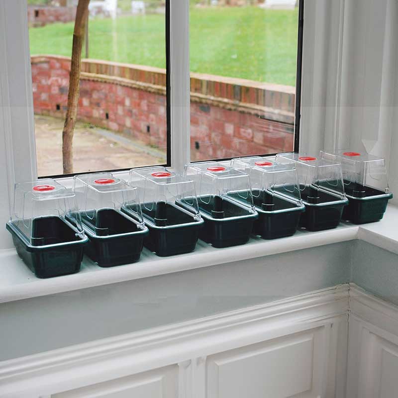 Worth Gardening Minidrivhus mini svart 7-pack