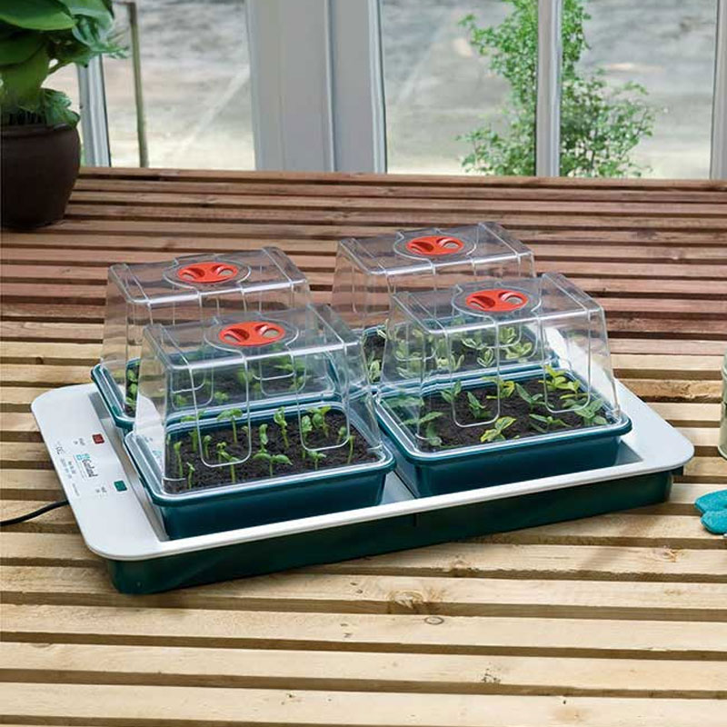 Miniväxthus 4 med undervärme