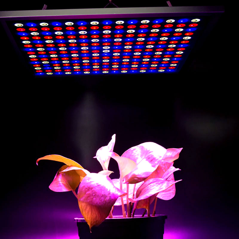 Växtlampa X-Grow LED-panel 45 watt