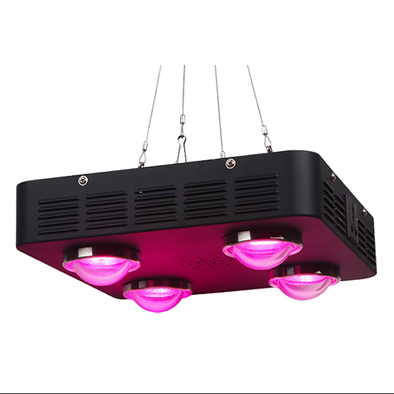 Growbox360 växtlampa LED fullspektrum