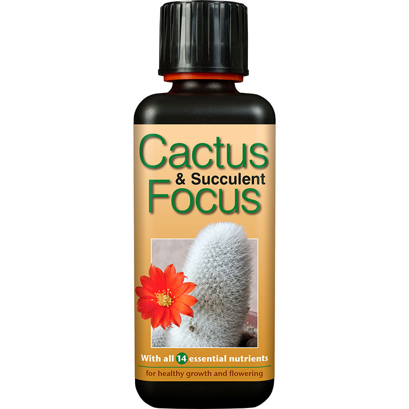 Kaktusnäring, Cactus Focus, 300 ml