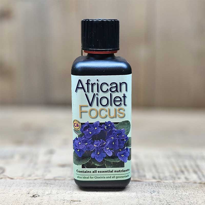 African Violet Focus – Näring för St Paulia mfl 300 ml