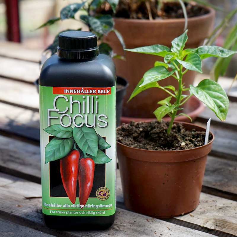 Chilinäring Chilli Focus, 1 liter för paprika och chiliodling | Wexthuset