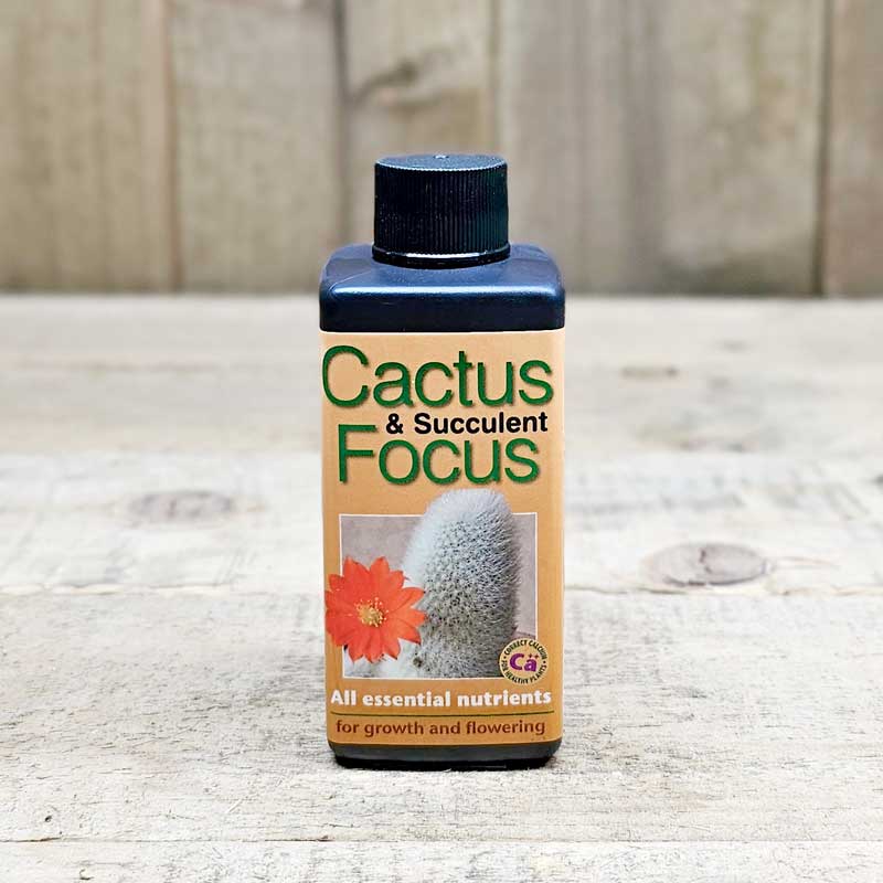 Growth Technology Kaktusnäring Cactus Focus 100 ml