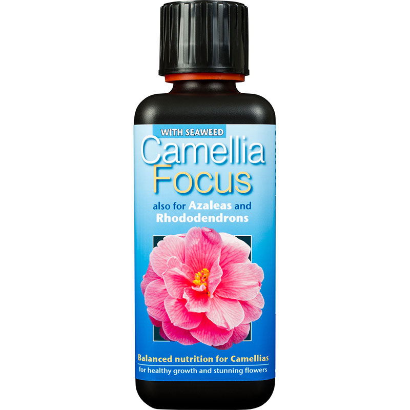 Kamelianäring Camellia Focus, 300 ml