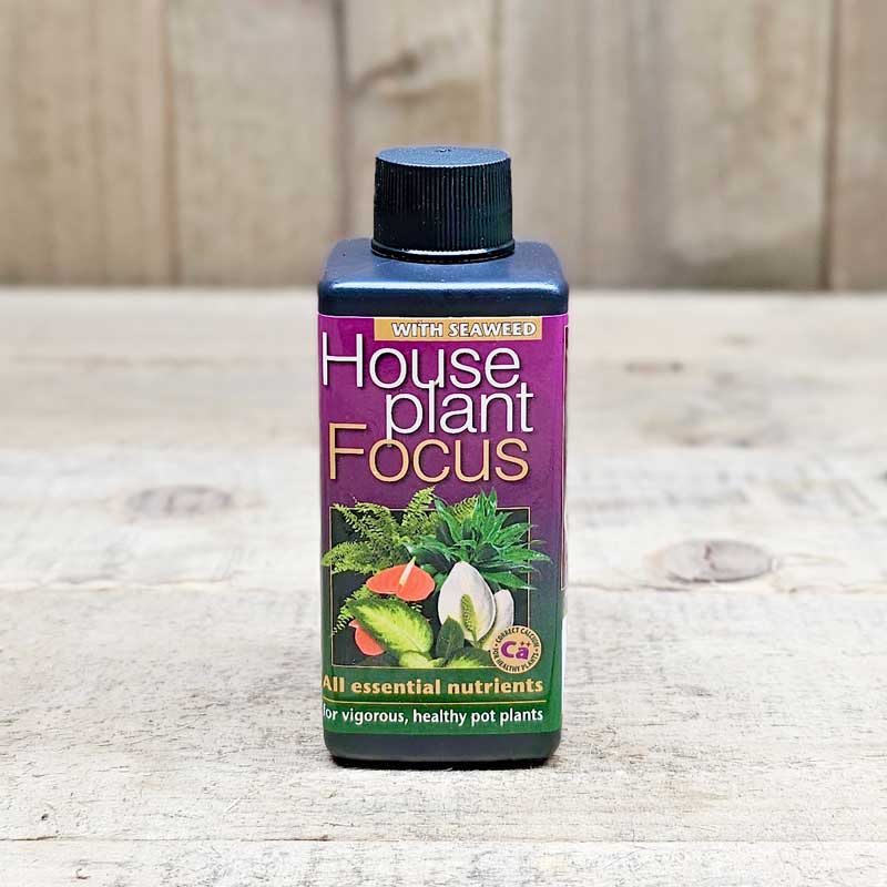 Growth Technology Krukväxtnäring Houseplant Focus 100 ml