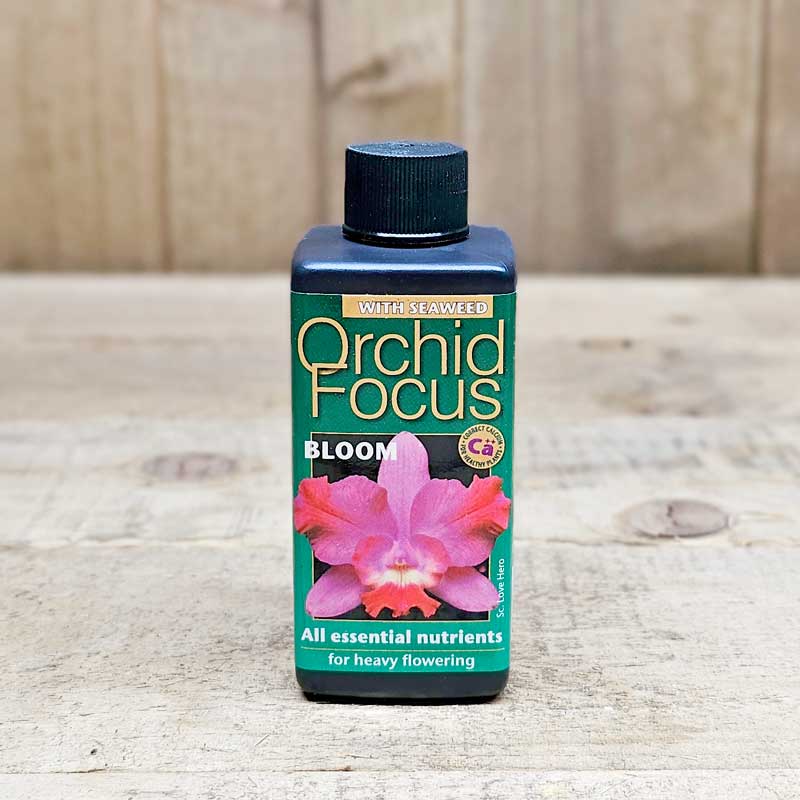 Growth Technology Orkidenäring Orchid Focus Bloom 100 ml