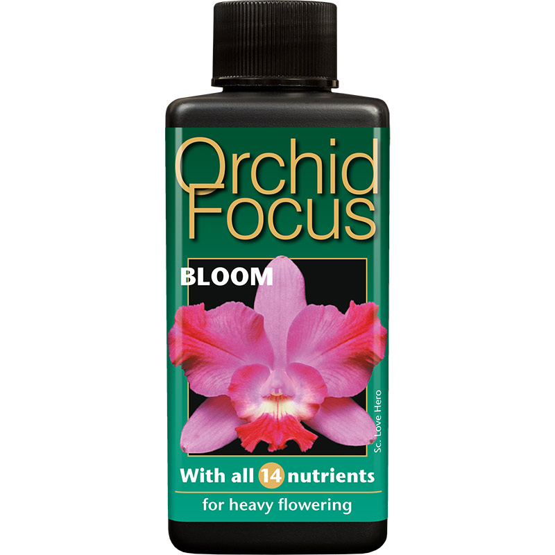 Orkidenäring Orchid Focus Bloom, 100 ml