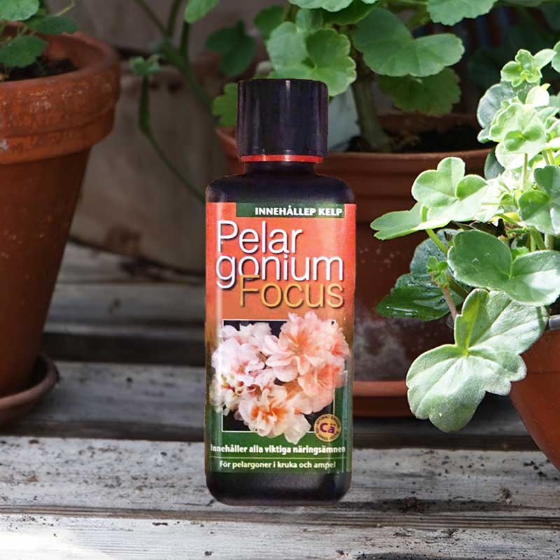 Pelargonnäring Pelargonium Focus 300 ml