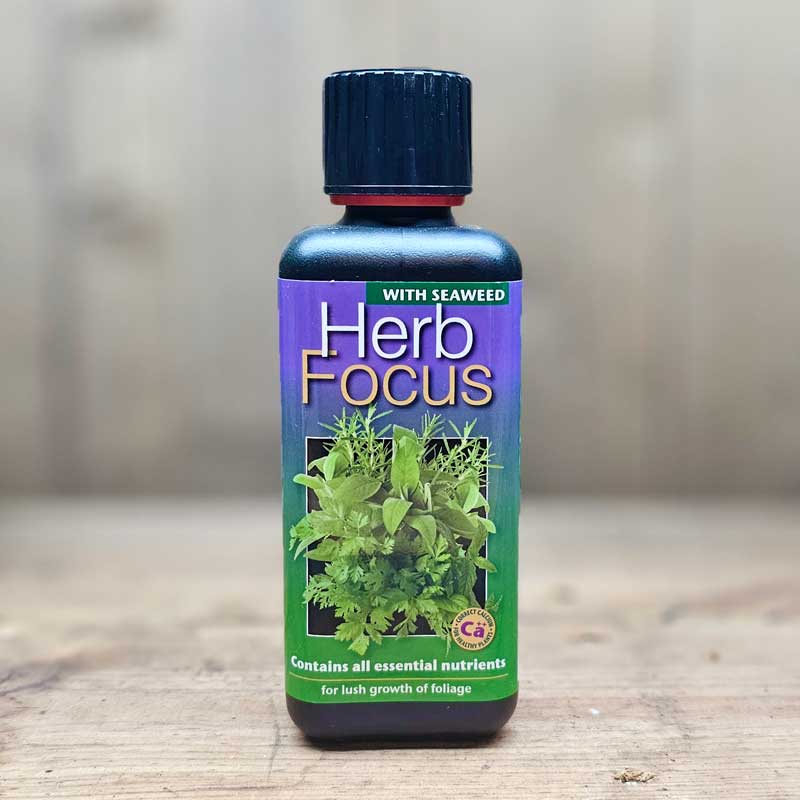 Growth Technology Örtnäring Herb Focus 300 ml