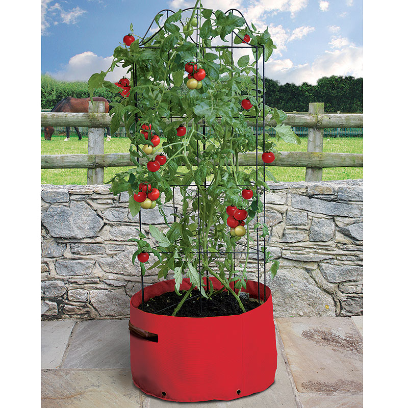 Odlingssäck för högväxta tomater