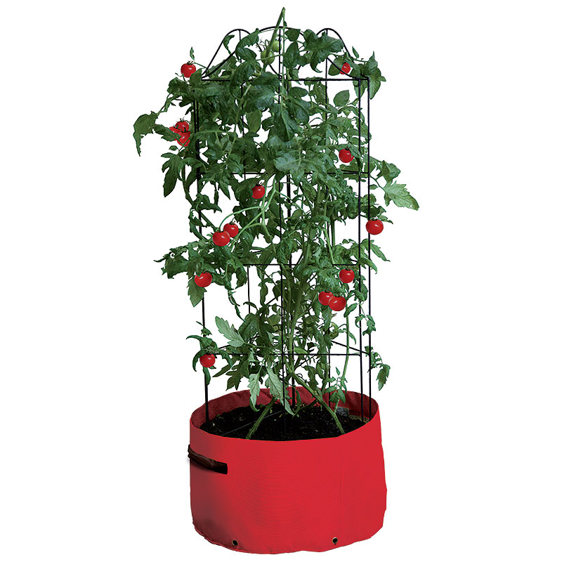 Odlingssäck med växtstöd för tomater