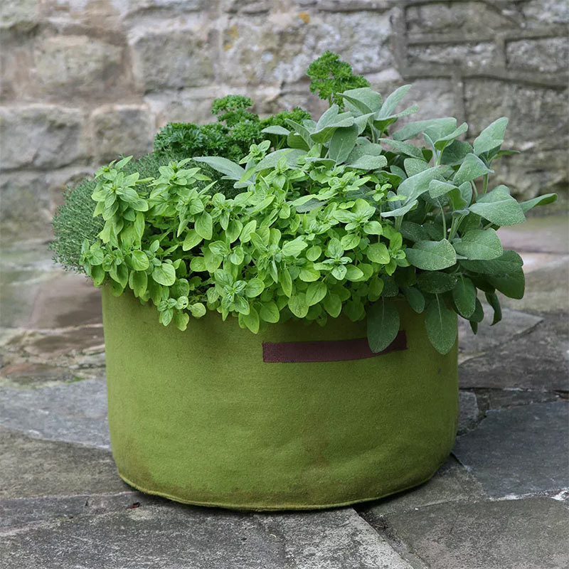 Odlingssäck Vigoroot Herb Planter