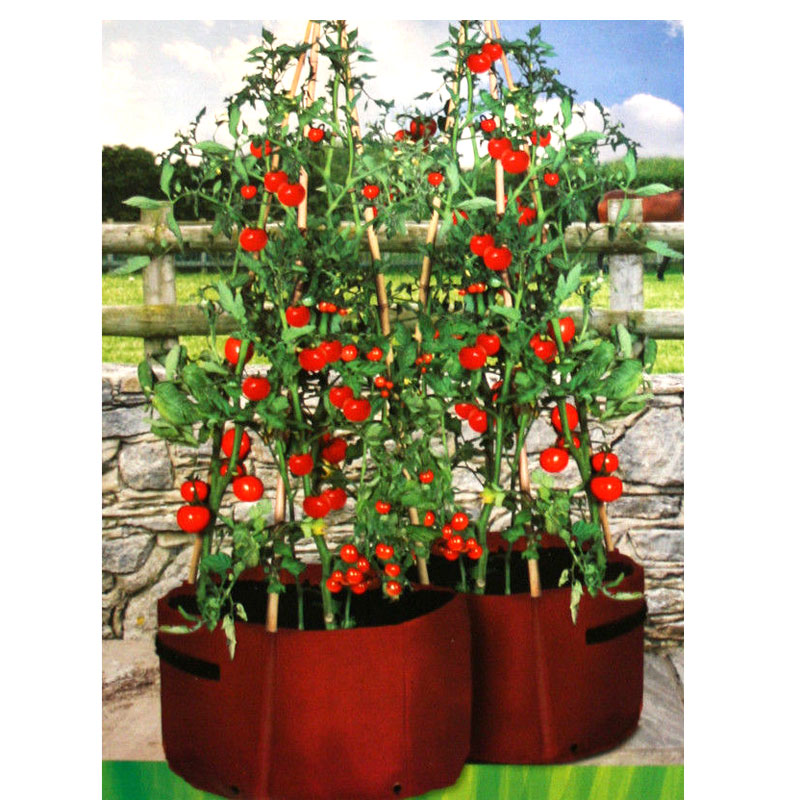 Haxnicks Tomato Patio Planter 2-pack
