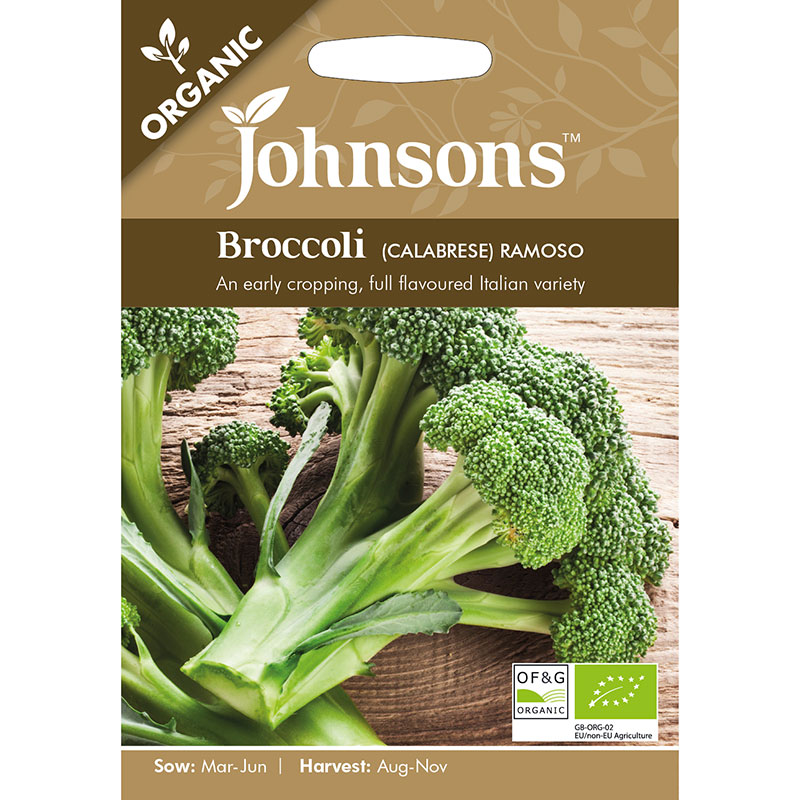 Ekologiskt frö till Broccoli 'Ramoso' , Brassica oleracea