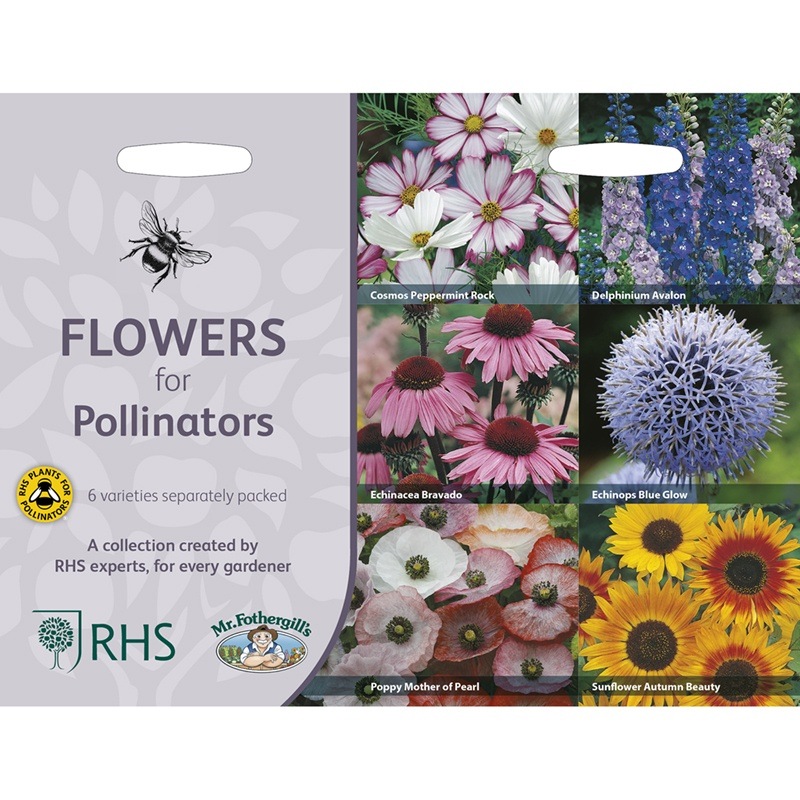 Frö till Blommor för pollinatörer 6 sorter