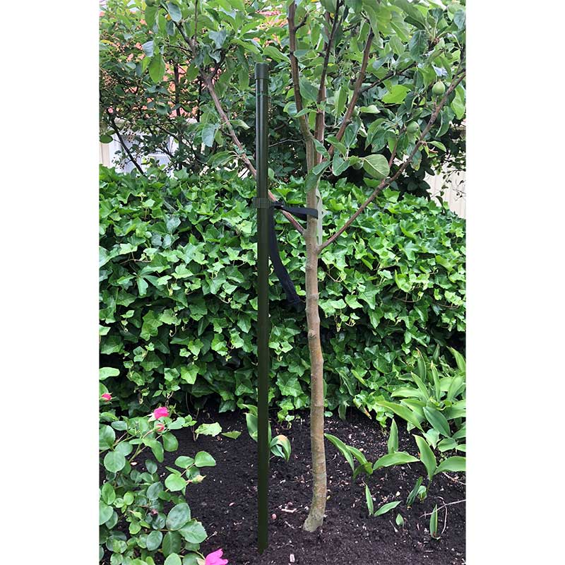 Trädstöd grön 180 cm