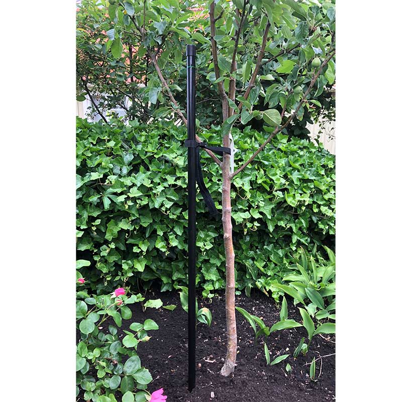 Trädstöd svart 180 cm
