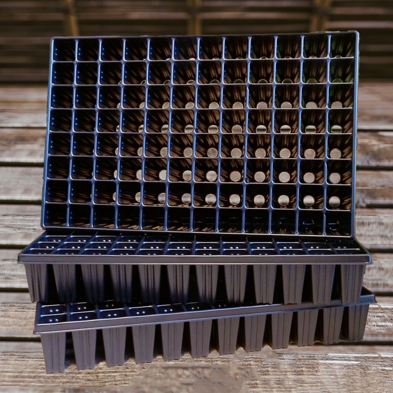 Meyer Pluggbrätte med 96 celler 3-pack