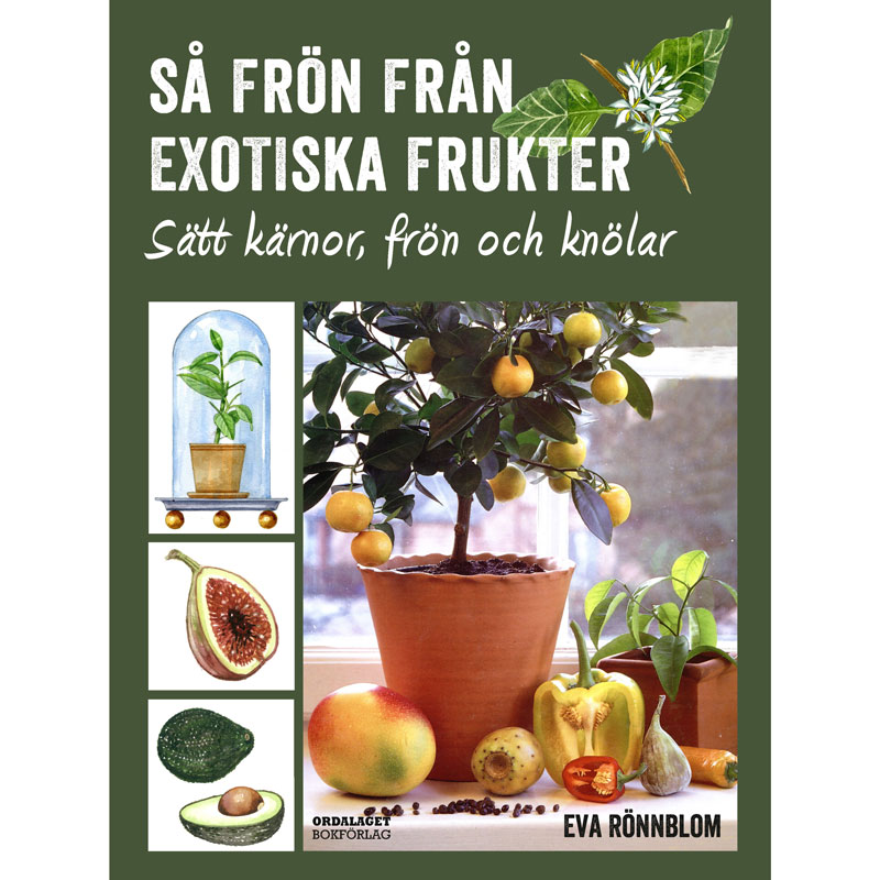 Trädgårdsbok - Så frön från exotiska frukter av Eva Rönnblom