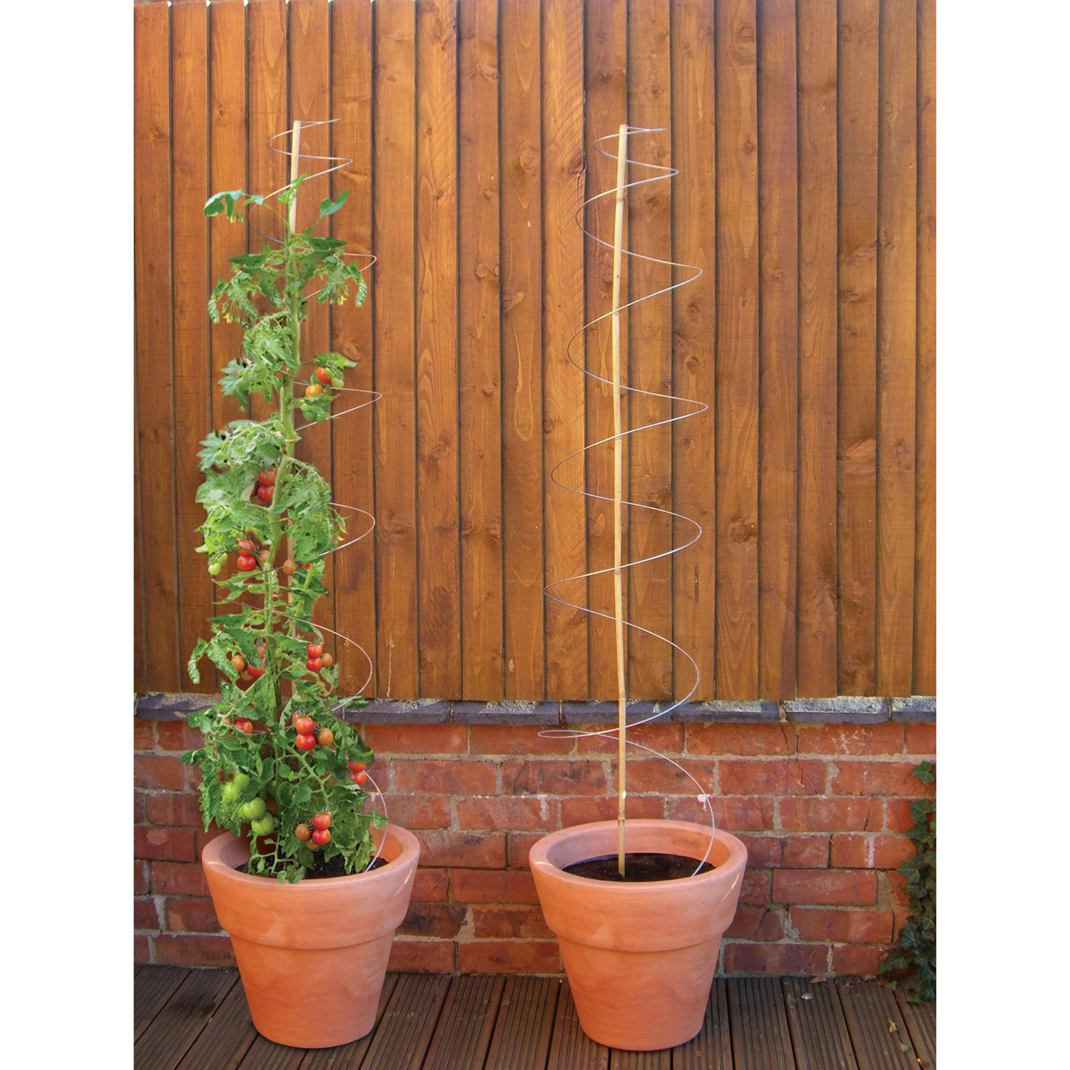 Twister utdragbart växtstöd för tomater och klän... Wexthuset