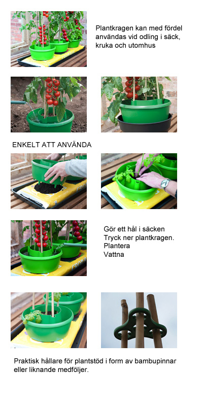 Beskrivning plantkrage