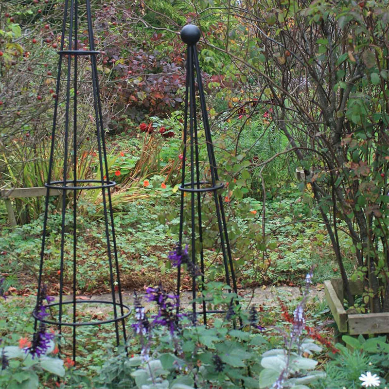 Harrod Horticultural Spaljé Cone Wire Obelisks Black large