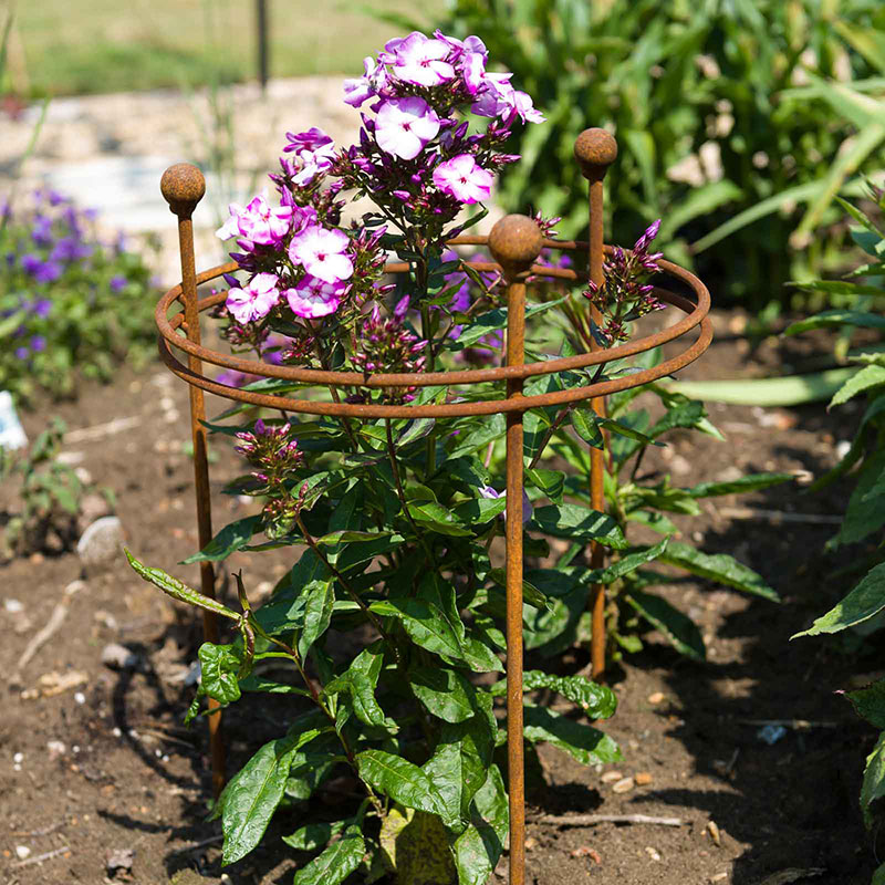 Harrod Horticultural Växtstöd Circular 60×30 cm rost