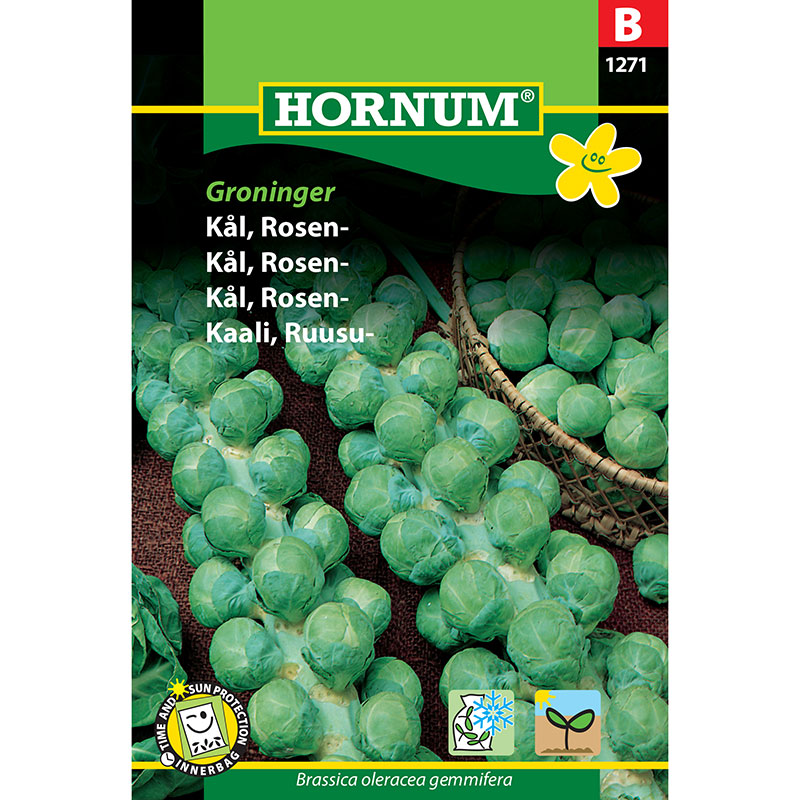 Brysselkål 'Groninger'