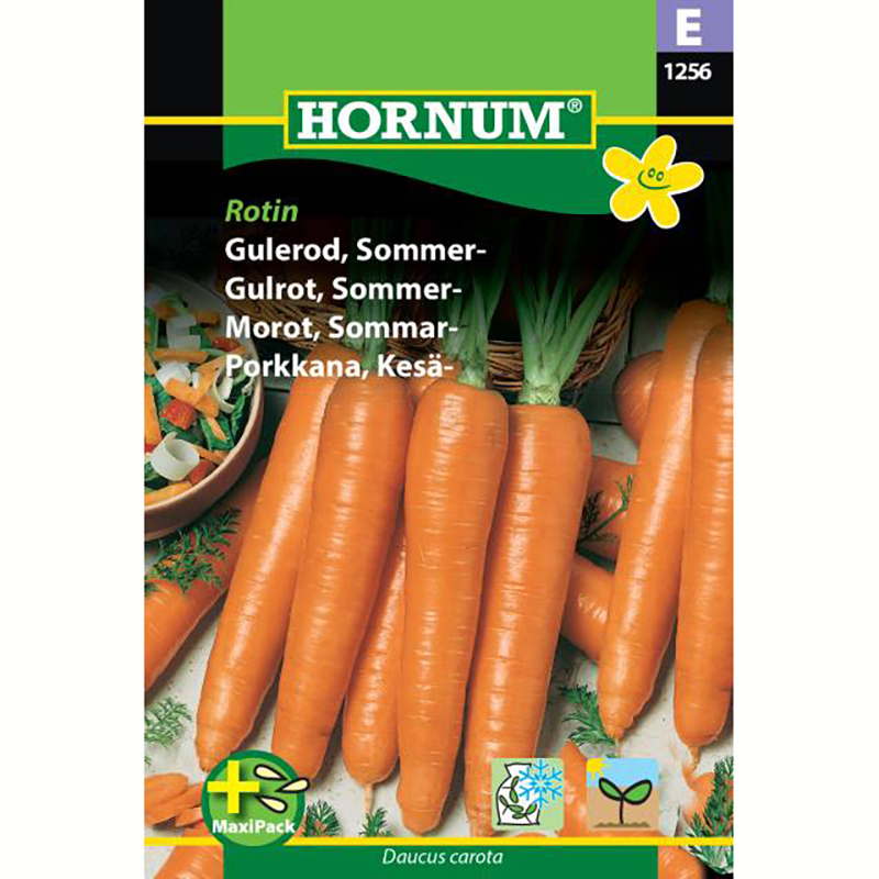 Hornum Morot ’Rotin’