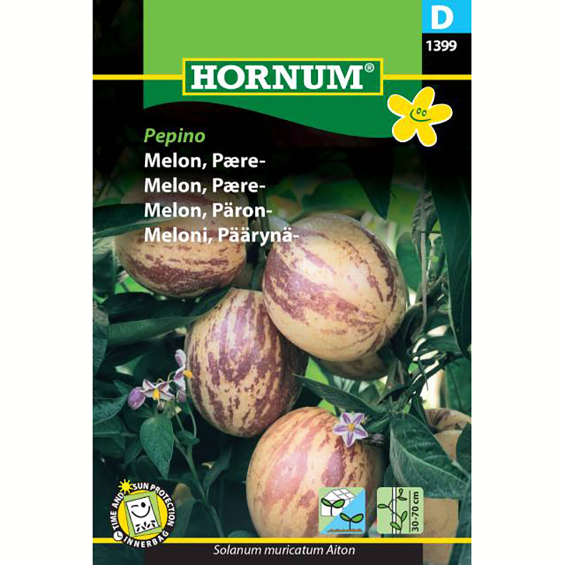 Hornum Päronmelon ’Pepino’