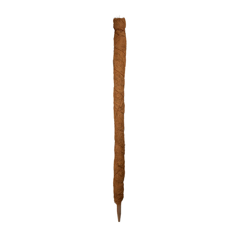 Kokosstav, 60 cm