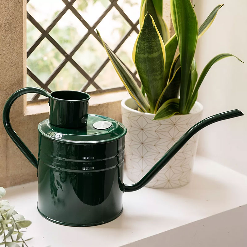 Vattenkanna Forest Green 2 L