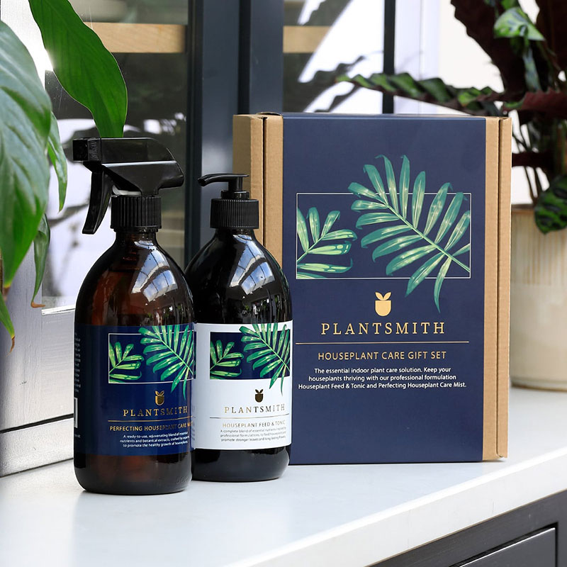 Plantsmith Houseplant Gift Box