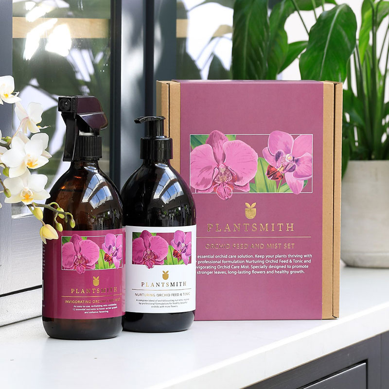 Plantsmith Orchid Gift Box