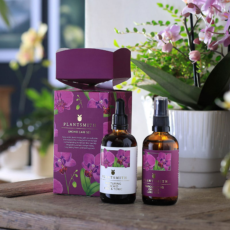 Orchid Gift Cracker