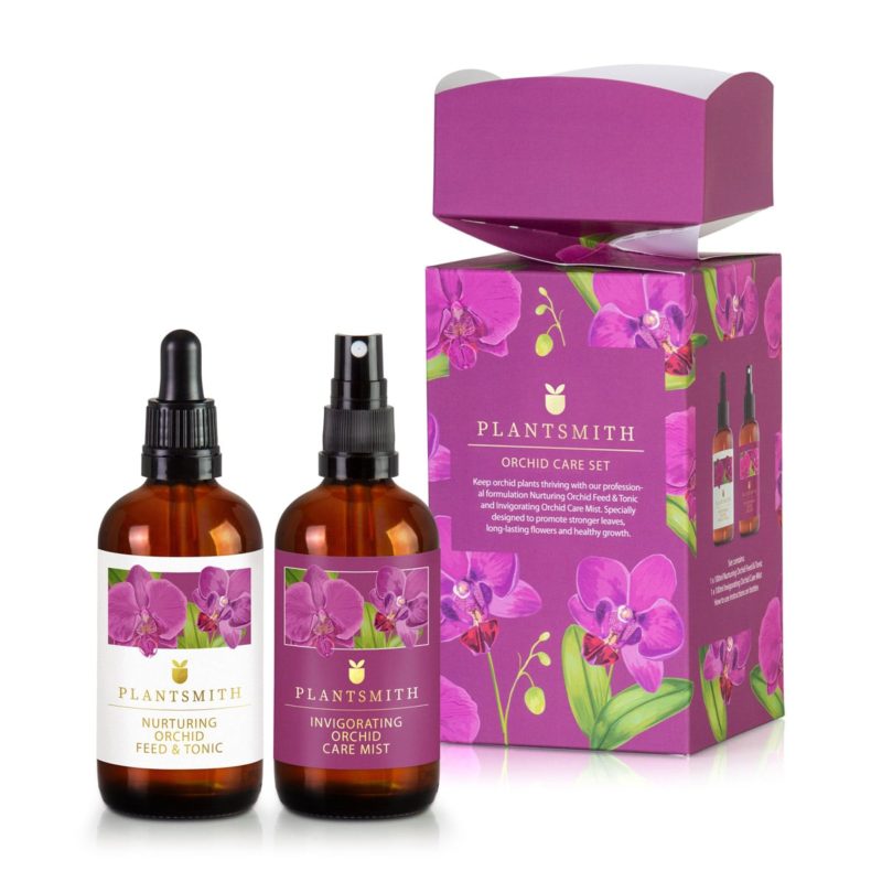 Orchid Gift Cracker
