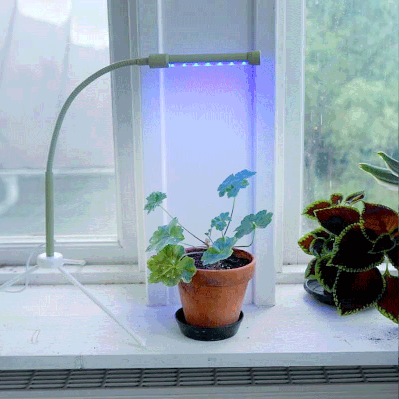 Växtlampa LED 7W USB, salvia/vit