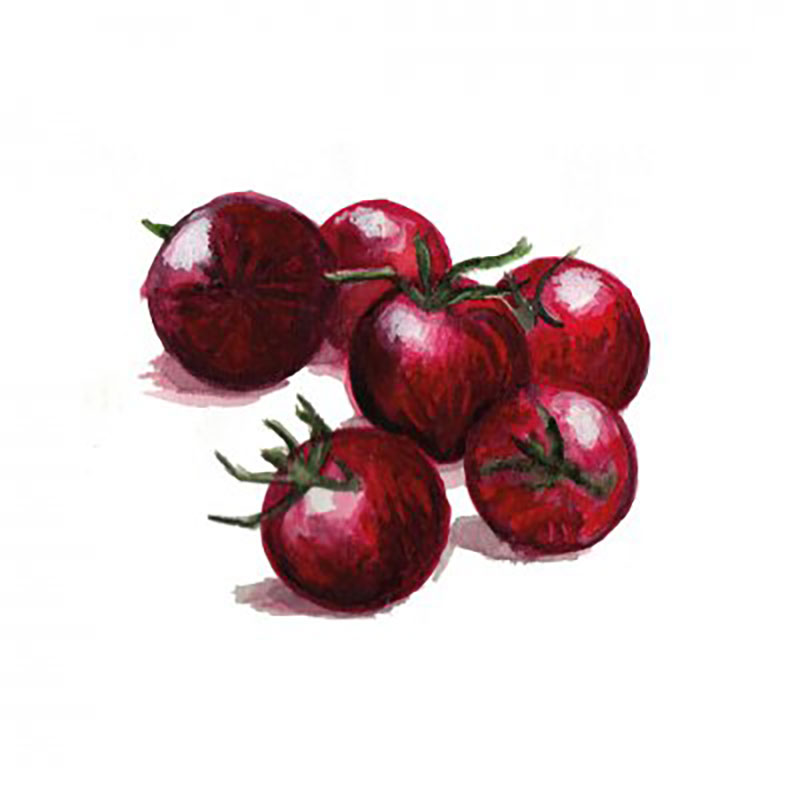 Nordfrö Körsbärstomat ’Black Sweet Cherry’