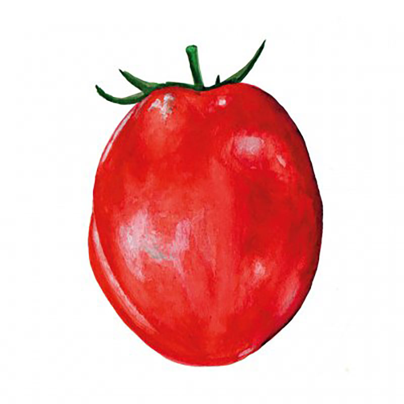 Nordfrö Tomat ’Amish Paste’